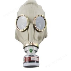 唐人TF1-A型防毒面具 长管式化工防毒全面具配合滤毒罐