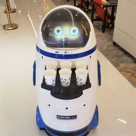 暖场***迎宾机器人租赁，跳舞机器人，送餐机器人出租展示