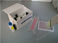 人活化Ⅻ（FⅫa）ELISA试剂盒