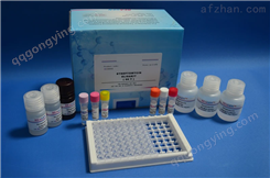 大鼠乳酸脱氢酶（LDH）ELISA试剂盒