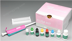 大鼠核因子κB（NF-κB）ELISA试剂盒