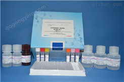 大鼠表皮生长因子受体（EGFR）ELISA试剂盒
